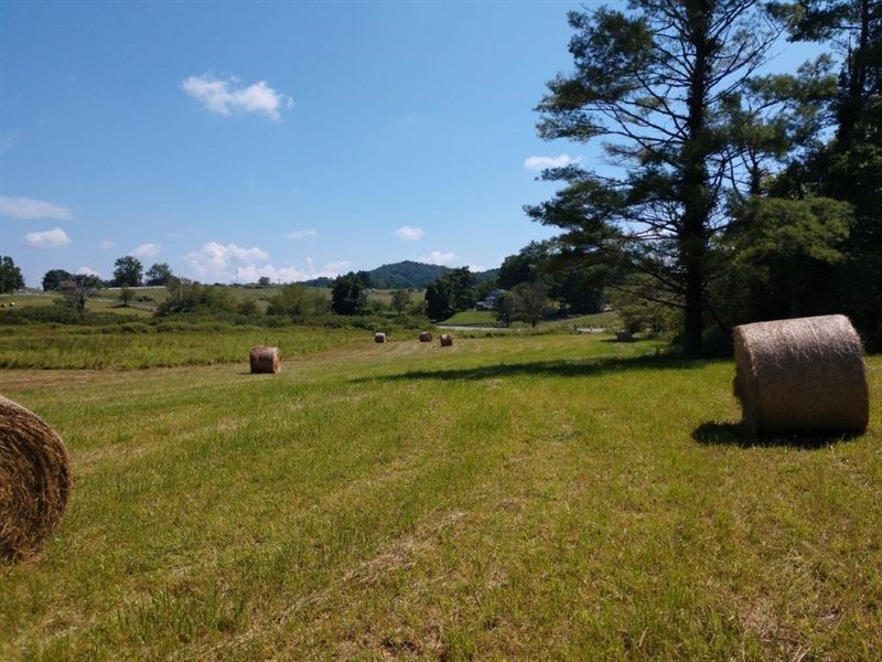 Woods Pasture Land Auction Floyd VA : Floyd : Floyd County : Virginia