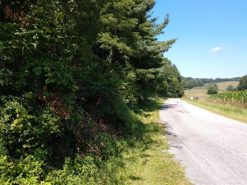 Land at Auction in Floyd VA : Floyd : Floyd County : Virginia