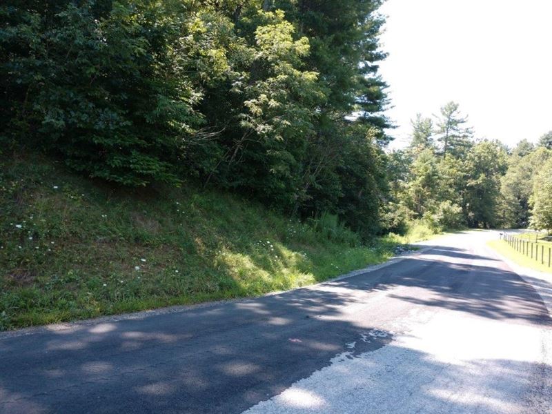 Building Lot Auction in Floyd VA : Floyd : Floyd County : Virginia