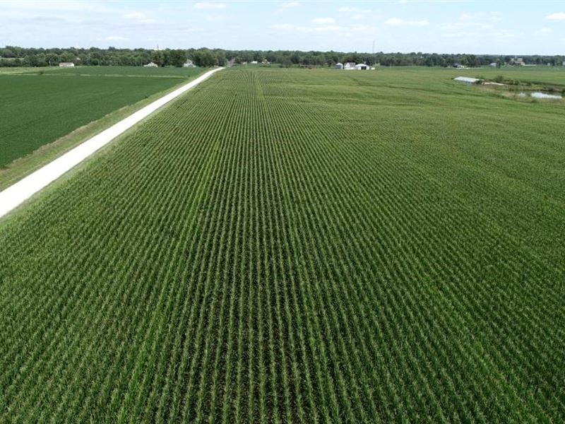 Online Only Tillable Row Crop Farm : Shelbina : Shelby County : Missouri