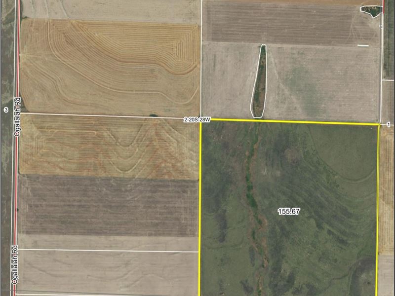 Prime Upland Hunting and Crp : Dighton : Lane County : Kansas