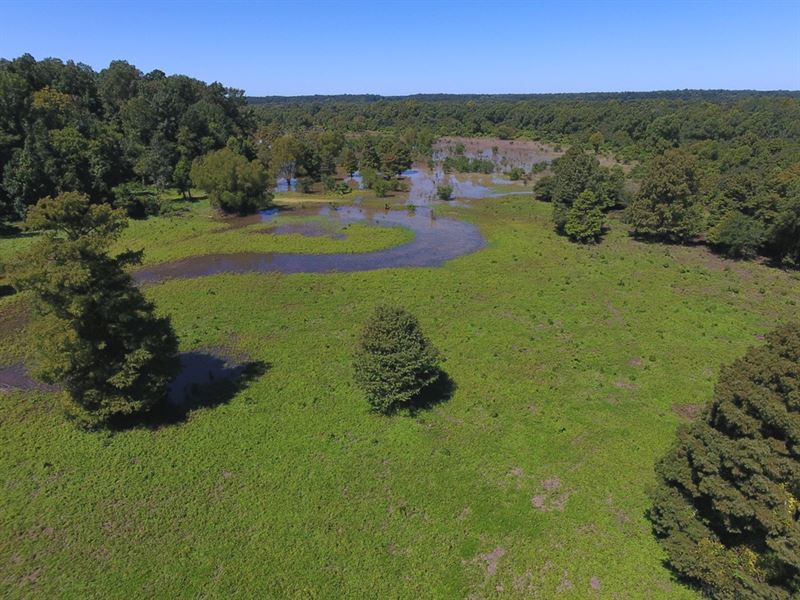 64.93 Ac, Duck Deer Turkey Hunting : Hernando : Pike County : Mississippi