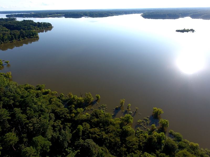 Hunting Land Joins Arkabutla Lake : Hernando : DeSoto County : Mississippi