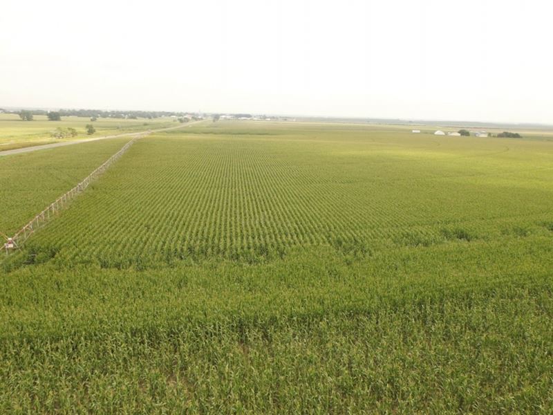 Wallace Farm Auction Parcel 1 : Wallace : Lincoln County : Nebraska