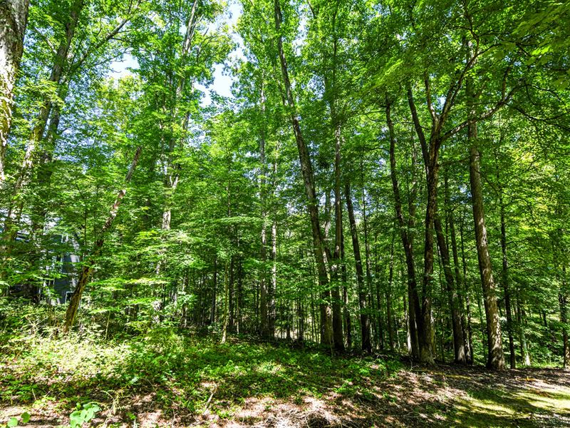 Nashville Indiana Building Lot : Nashville : Brown County : Indiana