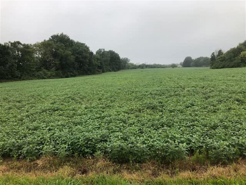 Real Estate Auction, 18.73 Acres : Galion : Crawford County : Ohio