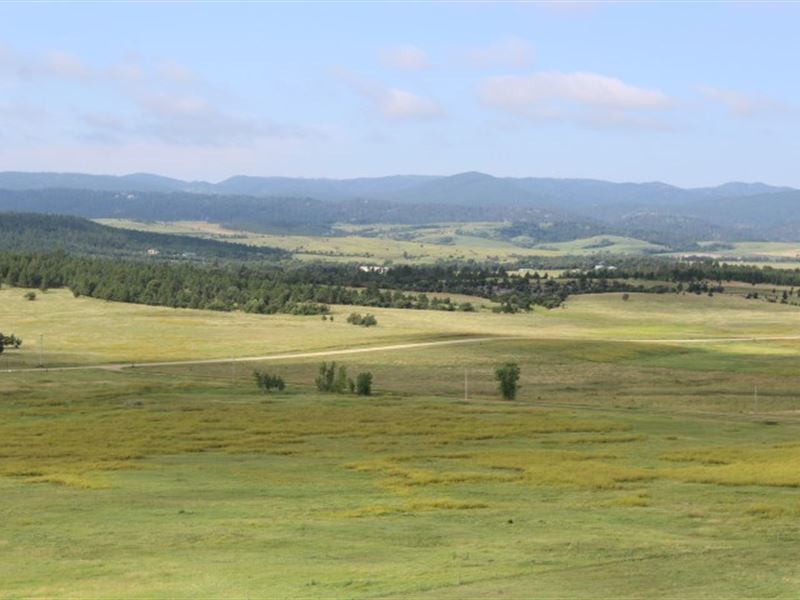 Meade County Absolute Real Estate : Sturgis : Meade County : South Dakota
