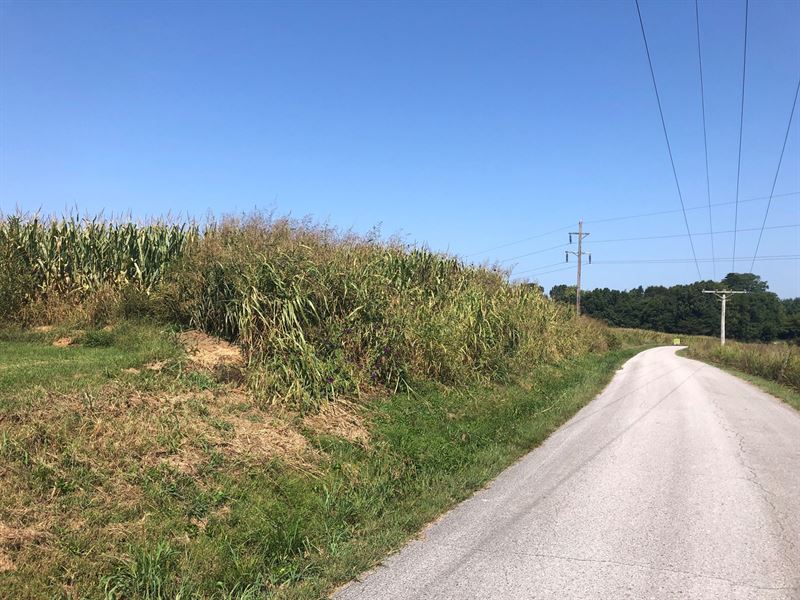 18.98 Acres Warren Co, Land 3 : Smiths Grove : Warren County : Kentucky