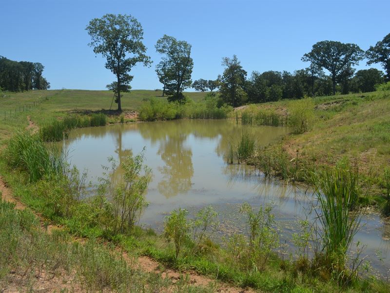 Land Stratford McClain County : Stratford : McClain County : Oklahoma