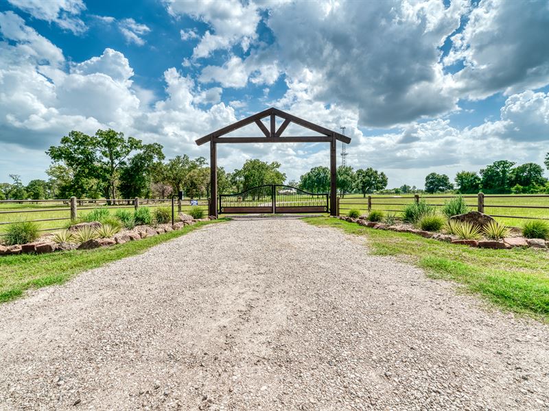 115 Acres, Home, Pool,& Equipment : Hempstead : Waller County : Texas