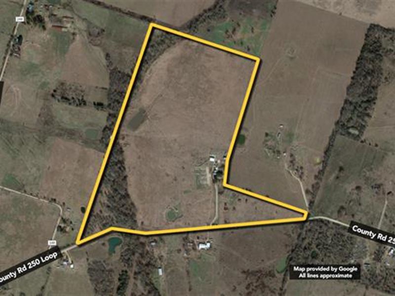 Seller Chosen Auction, 100 ac : Cameron : Milam County : Texas