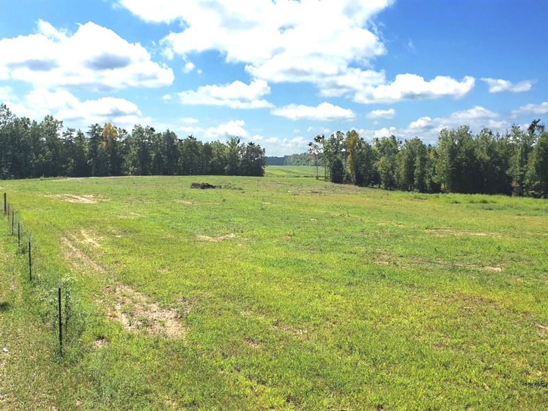 192 Ac in 6 Tracts, Creek Frontage : Clarkrange : Overton County : Tennessee