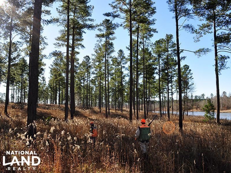 Kawikee Refuge : Lumpkin : Stewart County : Georgia