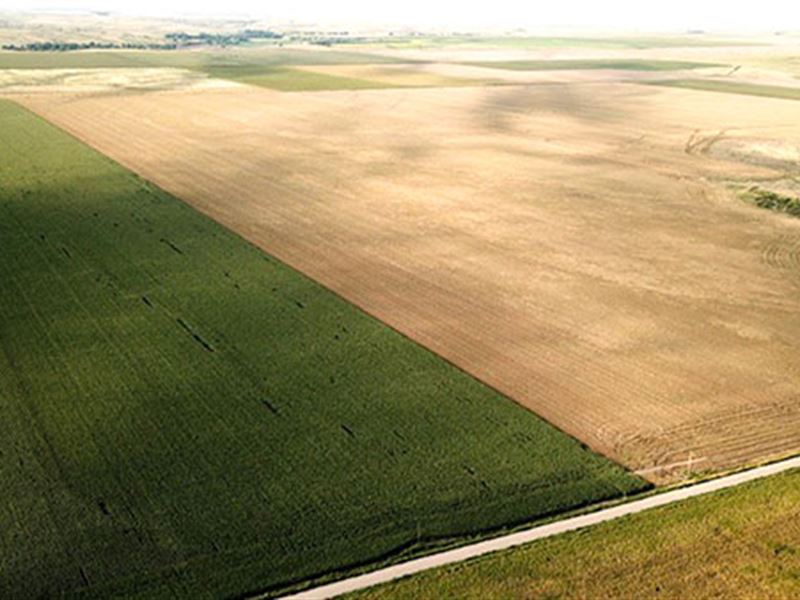 Sells Without Reserve Selling : Bird City : Cheyenne County : Kansas
