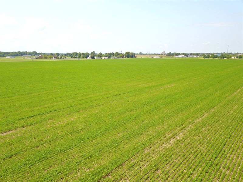 85 Acres Vacant Land : Circleville : Pickaway County : Ohio