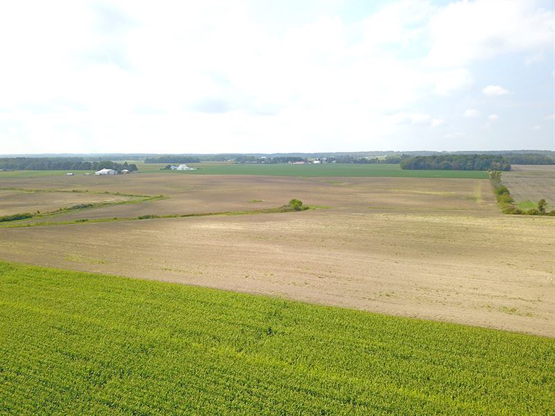 173 Acres Vacant Land : Bokes Creek Twp : Logan County : Ohio