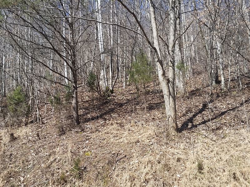 Building Lot in Lone Mountain Shore : New Tazewell : Claiborne County : Tennessee