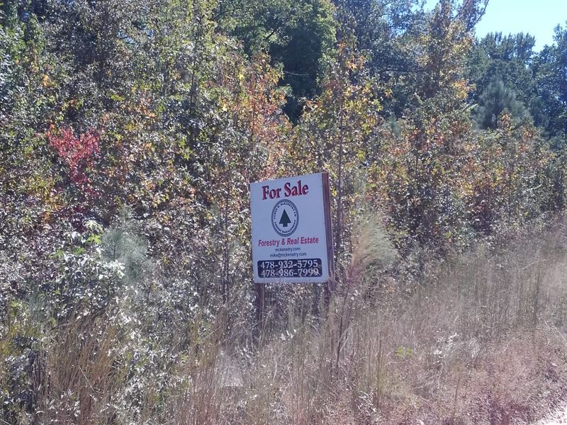 16.27 Acres Close To Gray Georgia : Haddock : Jones County : Georgia
