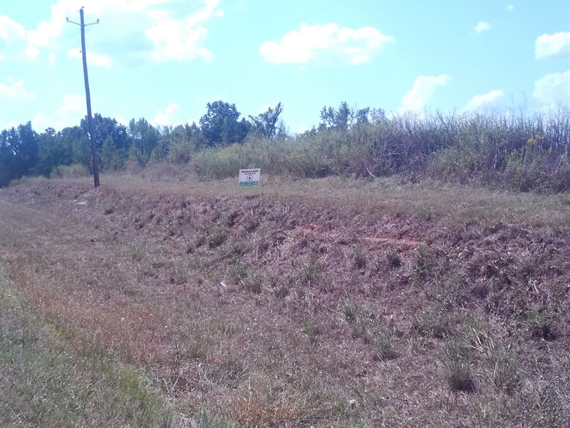 Timber Investment Property : Jeffersonville : Twiggs County : Georgia