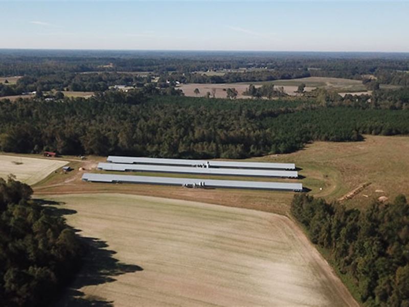 Bankruptcy Sale Without A Buyer : Whitakers : Nash County : North Carolina