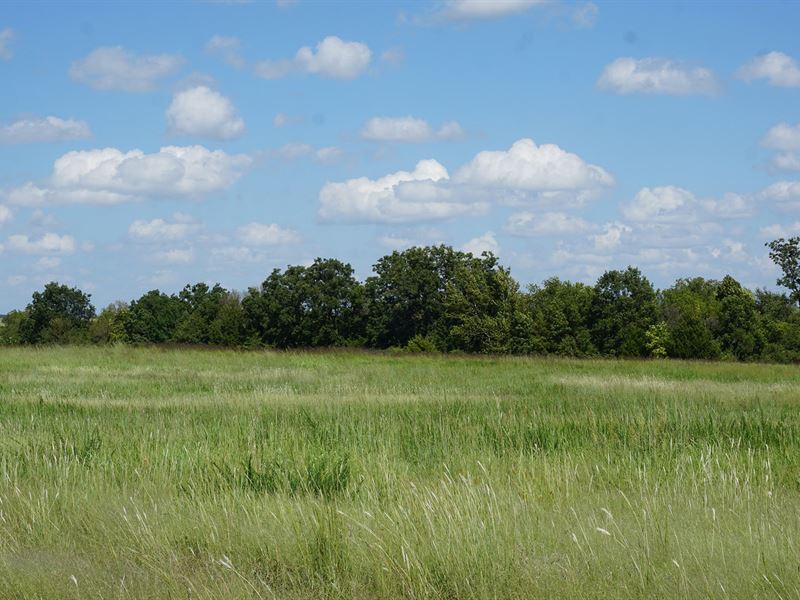 No Reserve Auction 160 Ac Cushing : Cushing : Payne County : Oklahoma