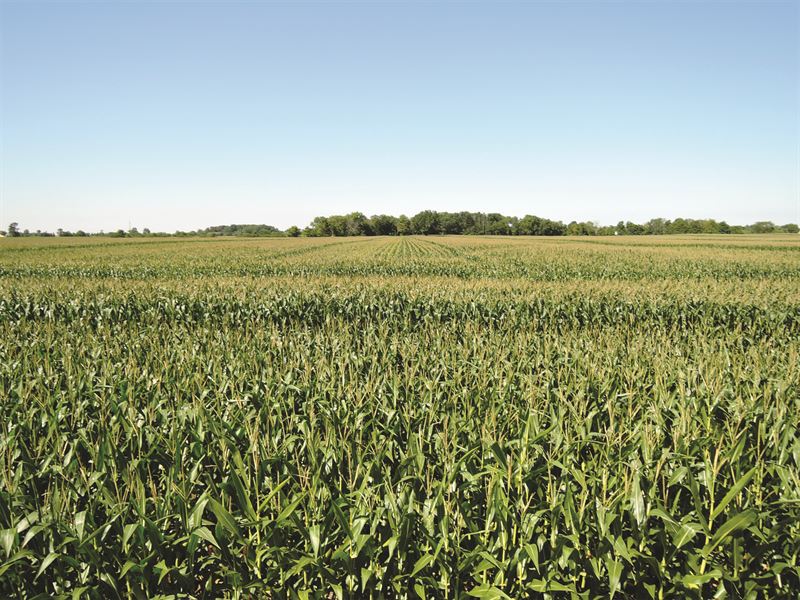 Important Land Auction in Indiana : Muncie : Delaware County : Indiana