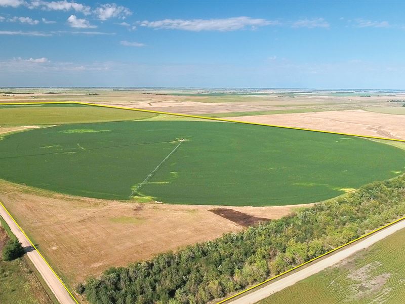 Land Auction in 2 Counties, Kansas : Hutchinson : Reno County : Kansas