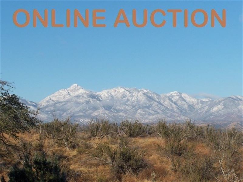Online Auction .42 Acre Lot : Sonoita : Santa Cruz County : Arizona