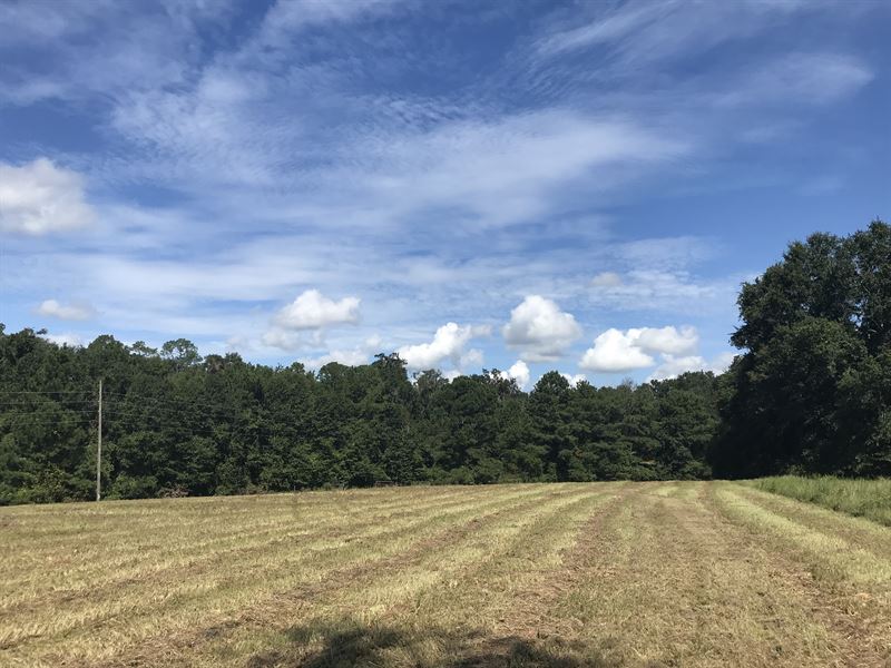 Estate Auction In Lowndes Co, Ga : Valdosta : Lowndes County : Georgia