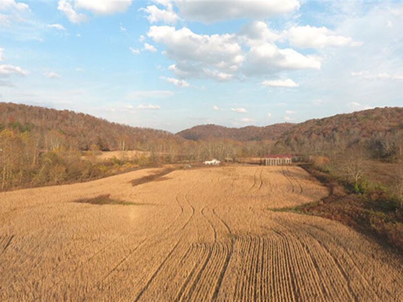 This Property Will Stack up Agai : Vanceburg : Lewis County : Kentucky