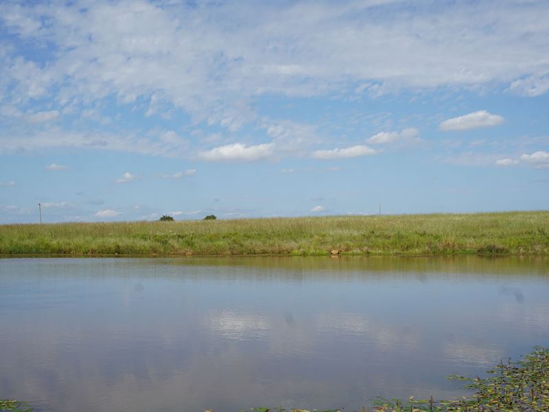 No Reserve Auction 100 Ac Cushing : Cushing : Payne County : Oklahoma