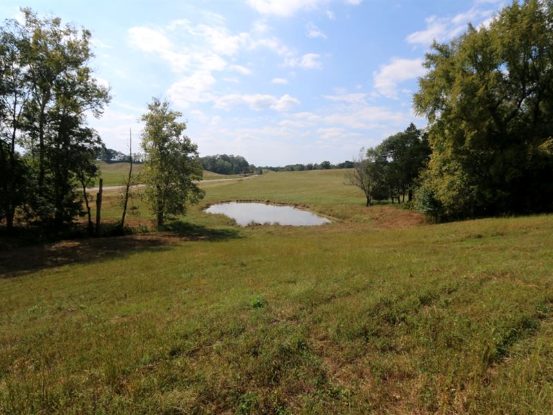 Farmhouse & 124 Acres in 8 Tracts : Sparta : White County : Tennessee