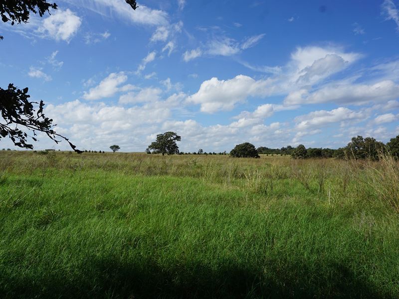 No Reserve Grassland Auction, Agra : Agra : Lincoln County : Oklahoma