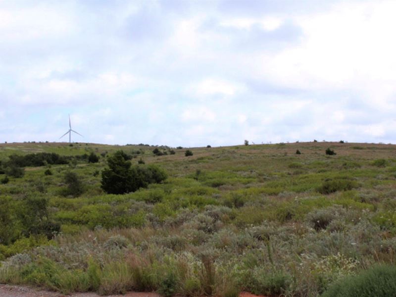 160 Acres Grassland : Elk City : Beckham County : Oklahoma