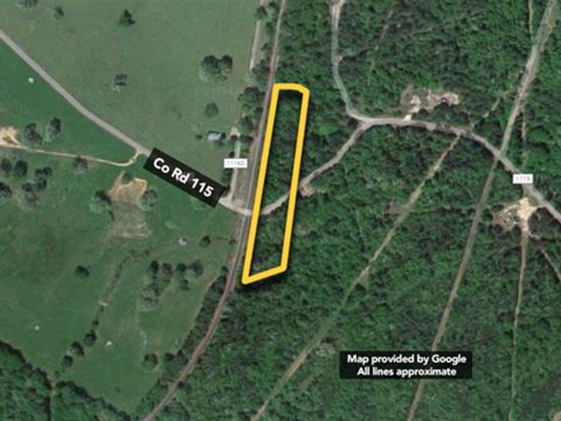 Sells Without Reserve 3 Acr : Kilgore : Rusk County : Texas