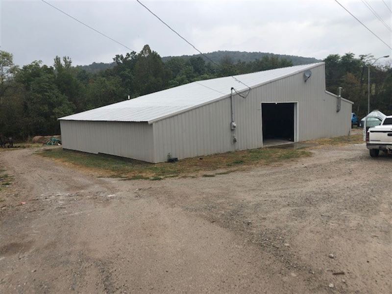 Auction November 2, 2019 10 00 Am : Albany : Clinton County : Kentucky