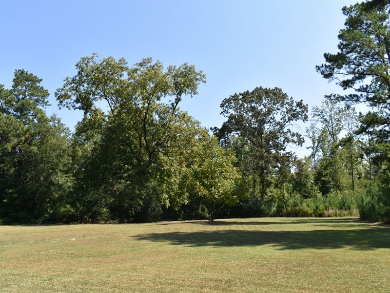 Absolute Auction Of Multi-Property : Talladega : Talladega County : Alabama