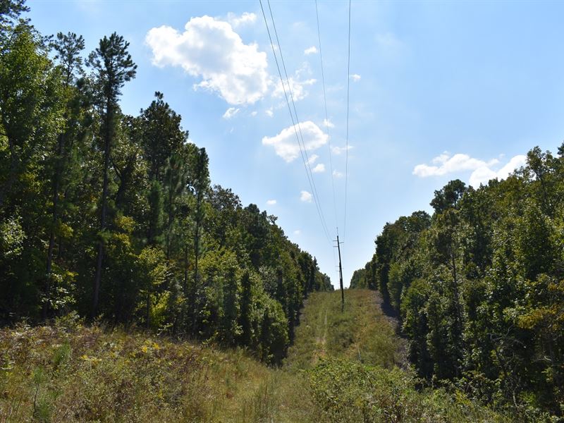 Absolute Auction Recreational Tract : Talladega : Talladega County : Alabama