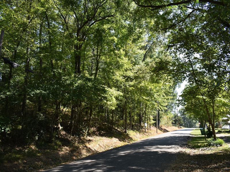Absolute Auction Residential Lot : Talladega : Talladega County : Alabama