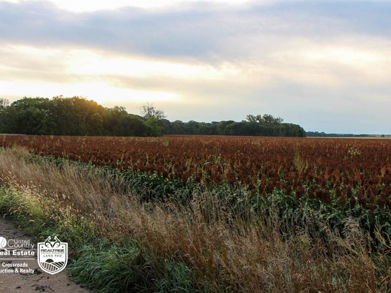 Lincoln County Kansas Premium : Sylvan Grove : Lincoln County : Kansas