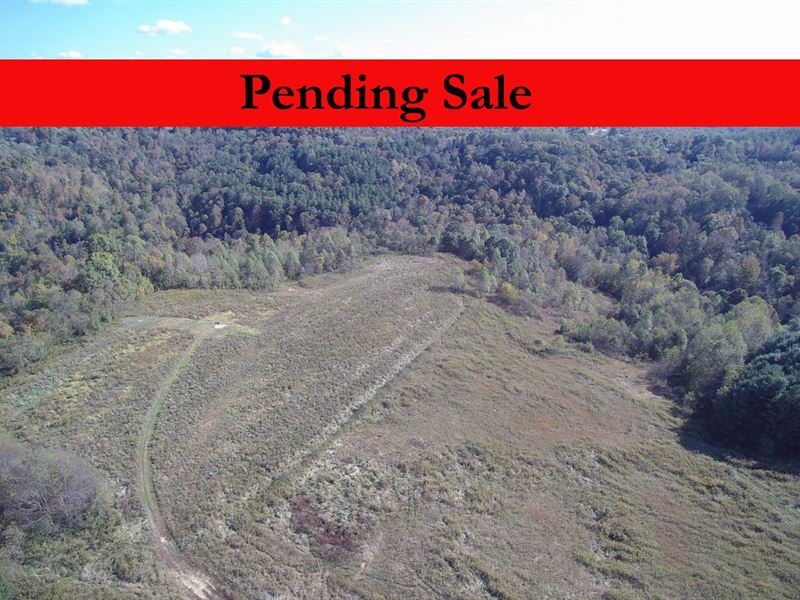 125 Acres Monroe County Absolute : Woodsfield : Monroe County : Ohio
