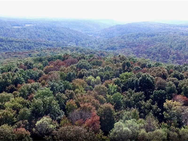 168 Acres Of Timberland, 3 Tracts : Cookeville : Putnam County : Tennessee