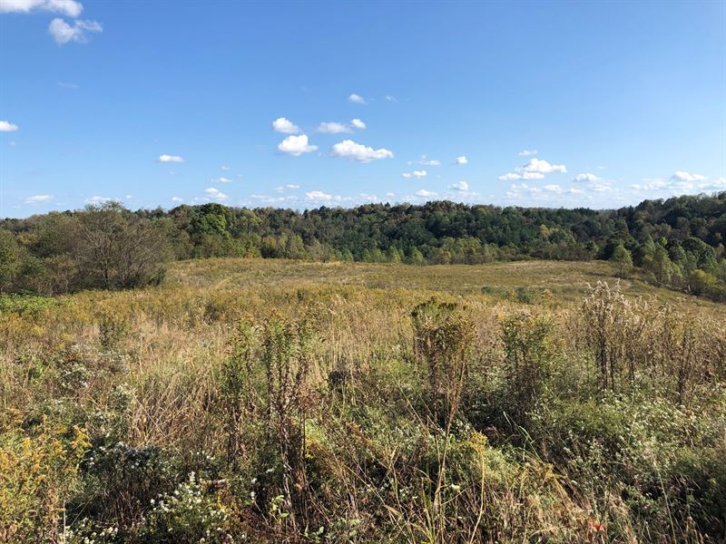 Absolute Auction, Wed, Nov 13th 4Pm : Woodsfield : Monroe County : Ohio