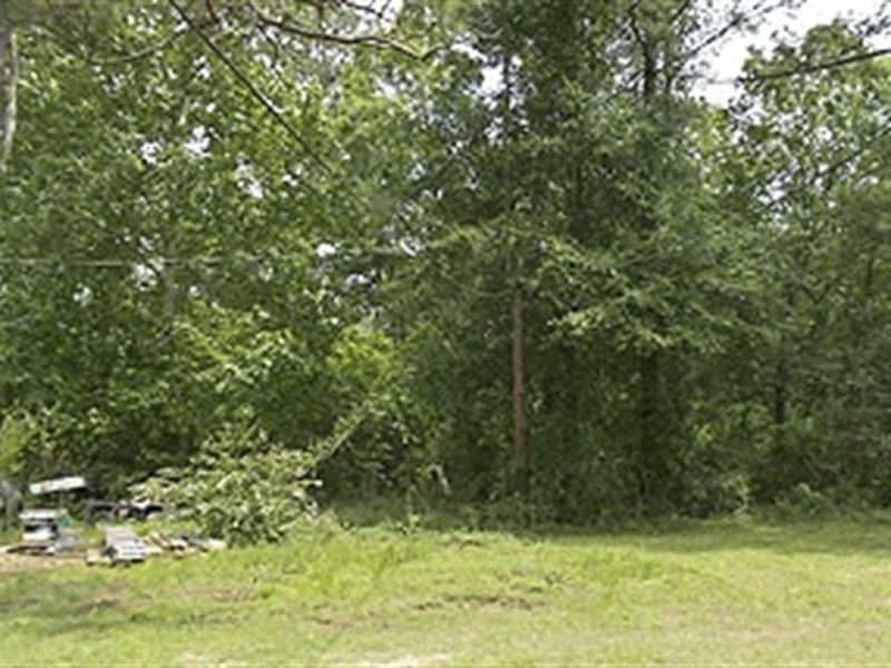 Wooded Lot in Covington La : Covington : Saint Tammany Parish : Louisiana