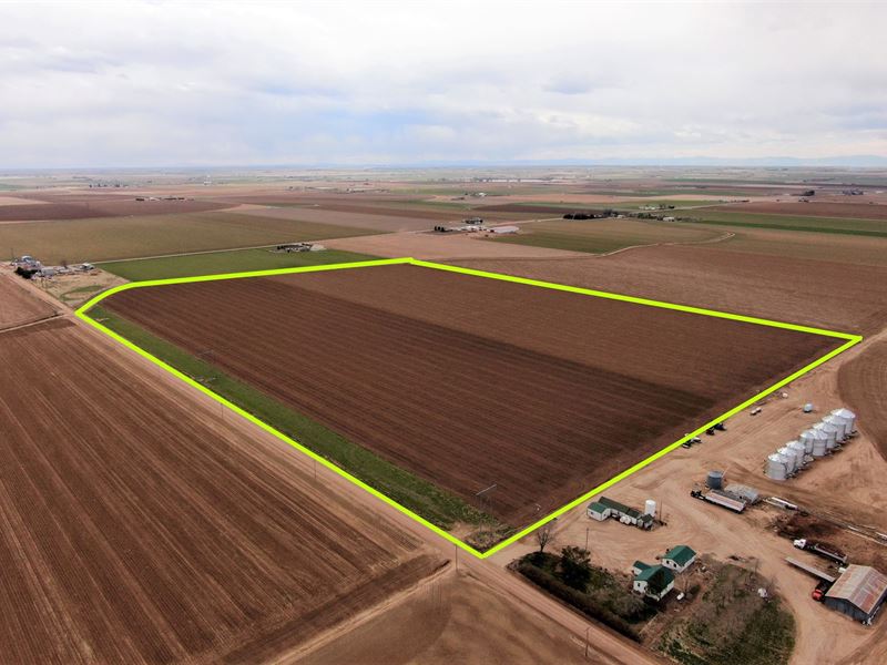Land Auction in Colorado : Keenesburg : Weld County : Colorado