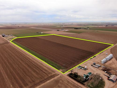 Land Auction in Colorado : Keenesburg : Weld County : Colorado