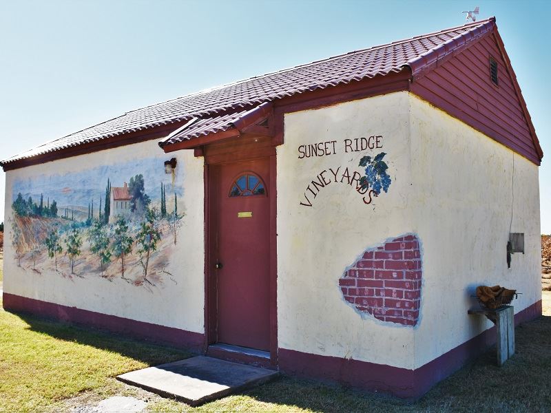 Sunset Ridge Vineyards Auction : Marlow : Stephens County : Oklahoma