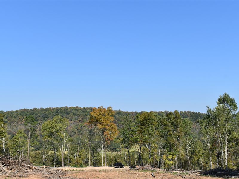 Ne Al Land Auction 7 Tracts in 4 Co : Guntersville : Marshall County : Alabama