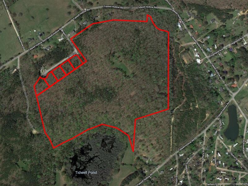Auction 60 Acres Near Oneonta : Oneonta : Blount County : Alabama
