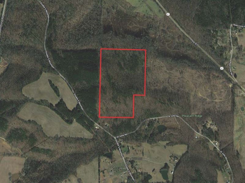Absolute Auction Of 61 Acres : Ryan Crossroads : Morgan County : Alabama